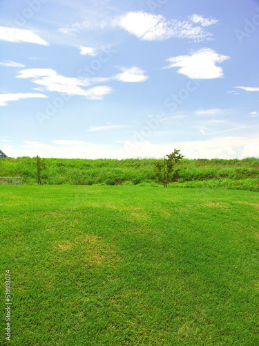 芝生の小山のある夏の公園と江戸川土手風景