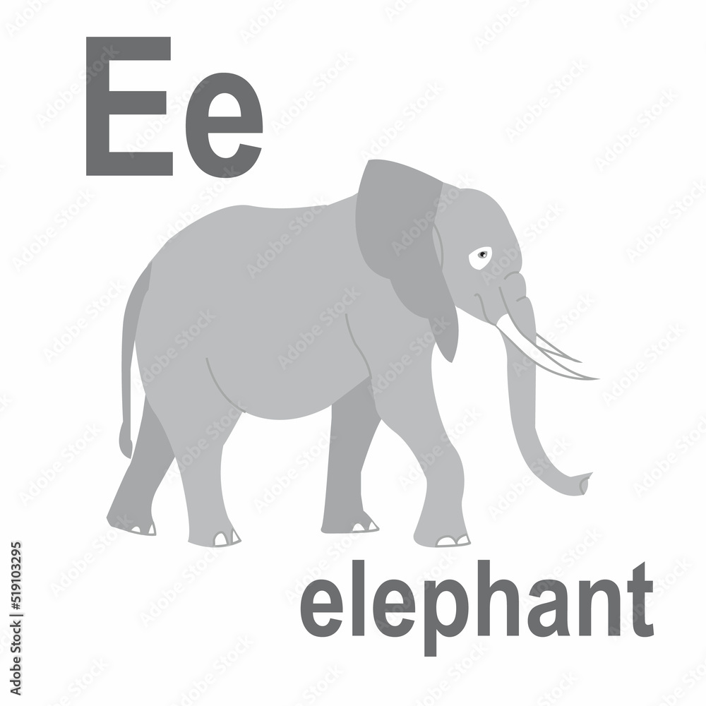 The beauty of the jungle is a huge elephant, a wonderful representative of African animals, ABC children's banner. Postcards, a poster with the alphabet.  Game room design. Vector