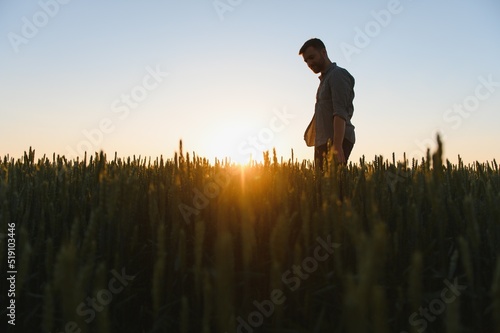 silhouette of man looking at beautiful landscape in a field at sunset.