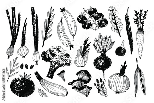 Set of farm, organic vegetables drawn in a graphic style. Black and white illustration of vegetables and greens. Illustrations for the design of corporate identity, packaging, textiles, farm products.