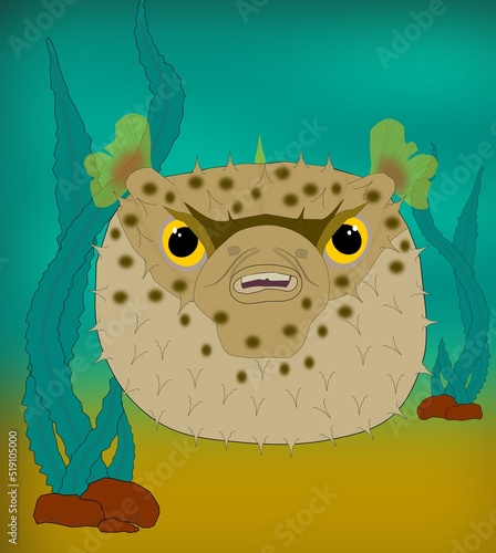 Angry puffer fish