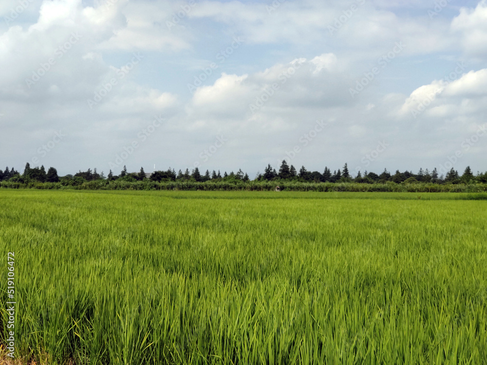 遠景 distant view 遠景 distant view