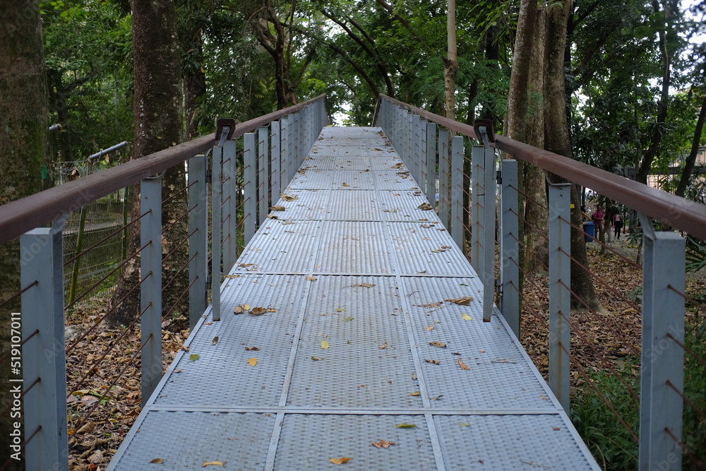 Fototapeta premium Point of View vanishing point of a steel bridge for pedestrian in a public park.