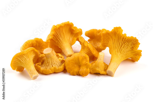 Chanterelle or girolle mushrooms (Cantharellus cibarius). Clippng paths, shadow separated