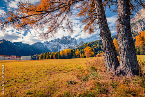Orange larch trees in Dolomite Alps, Province of Bolzano - South Tyrol, Itale, Europe. Majestic autumn view of Durrenstein peak from Vallone village. Beauty of nature concept background..