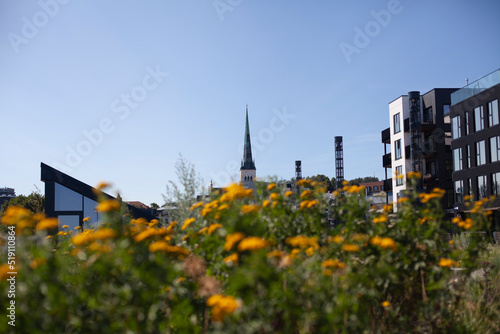 Tallinn cityscape with view on Oleviste kirik (St Olaf Church). Picture from district Kalamaja. photo