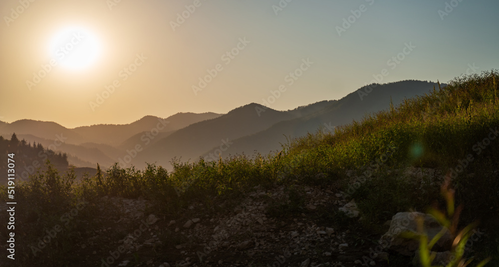Sunset in the mountains with pine forest, beautiful summer landscape. Tara park Serbia