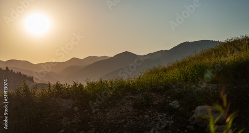 Sunset in the mountains with pine forest, beautiful summer landscape. Tara park Serbia