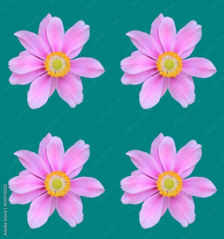 Abstract floral design Abstract floral design