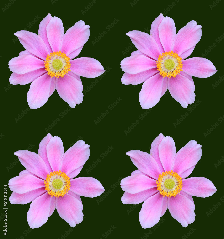 Abstract floral design Abstract floral design