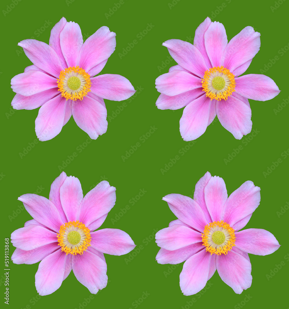 Abstract floral design Abstract floral design