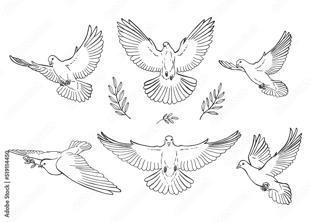Set of dove outline. Line art style isolated. Hand drawn vector illustration. - obrazy, fototapety, plakaty 