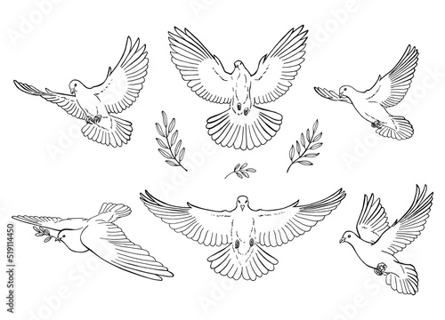 Set of dove outline Fototapet