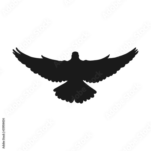 Hand drawn dove. Silhouette isolated on white background.