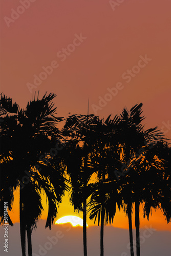 Illustration image of silhouette palm trees with natural sunset on twilight sky for travel and tourism industry advertising presentation background.