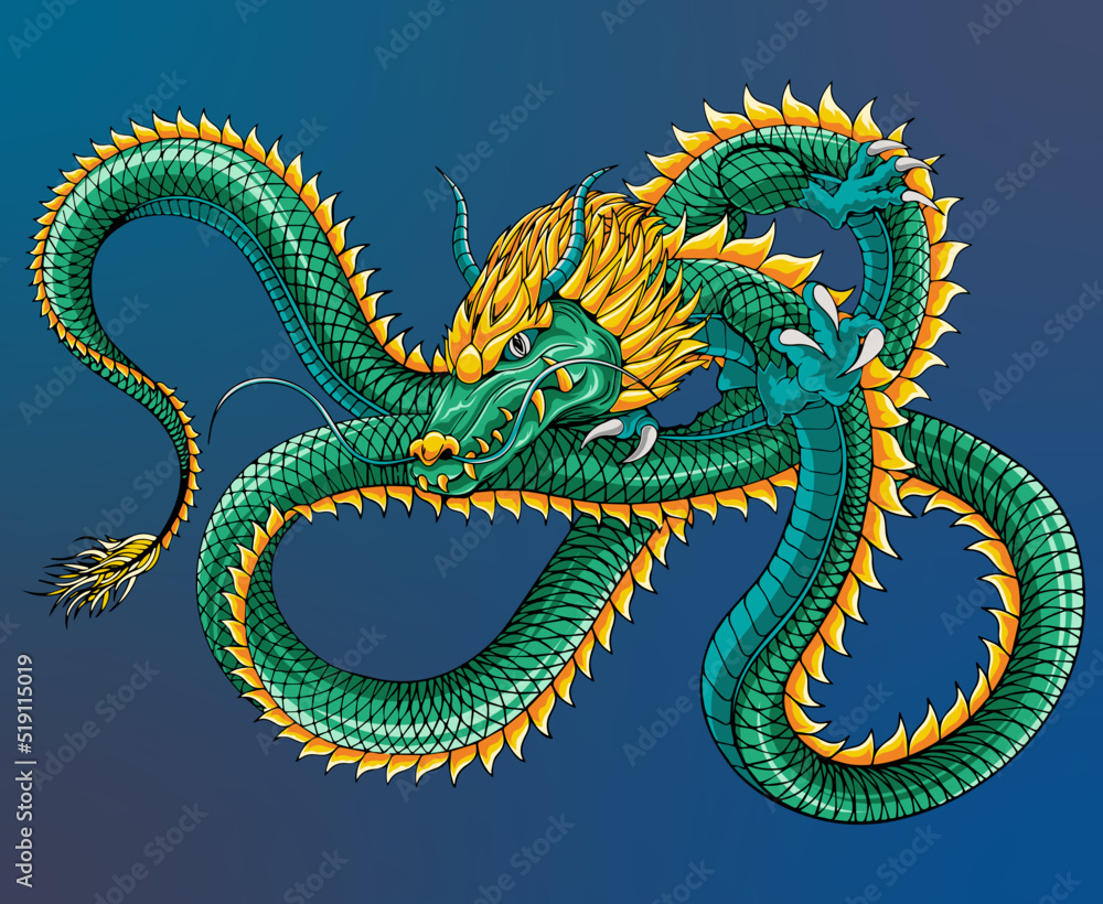 Fototapeta premium Chinese dragon vector illustration