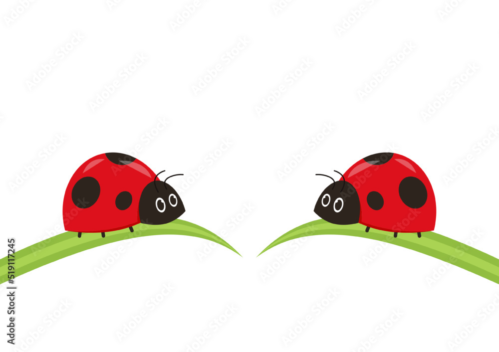 Fototapeta premium Ladybug on leaf. wallpaper. free space for text. background. symbol. ladybug on white background.