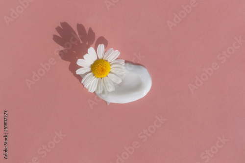 The texture of the cream with a chamomile flower on a pink background. Smear of skincare cosmetics product. The concept of natural cosmetics. Top view