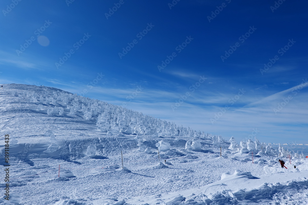 蔵王国定公園の樹氷。山形、日本。１月下旬。
