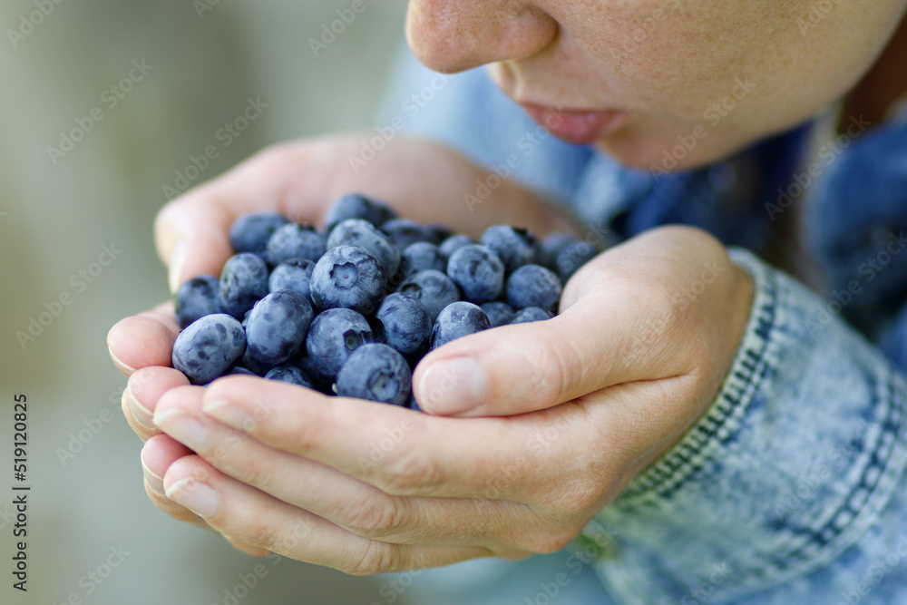 Aroma of ripe blueberries, sniff summer berries in hands.