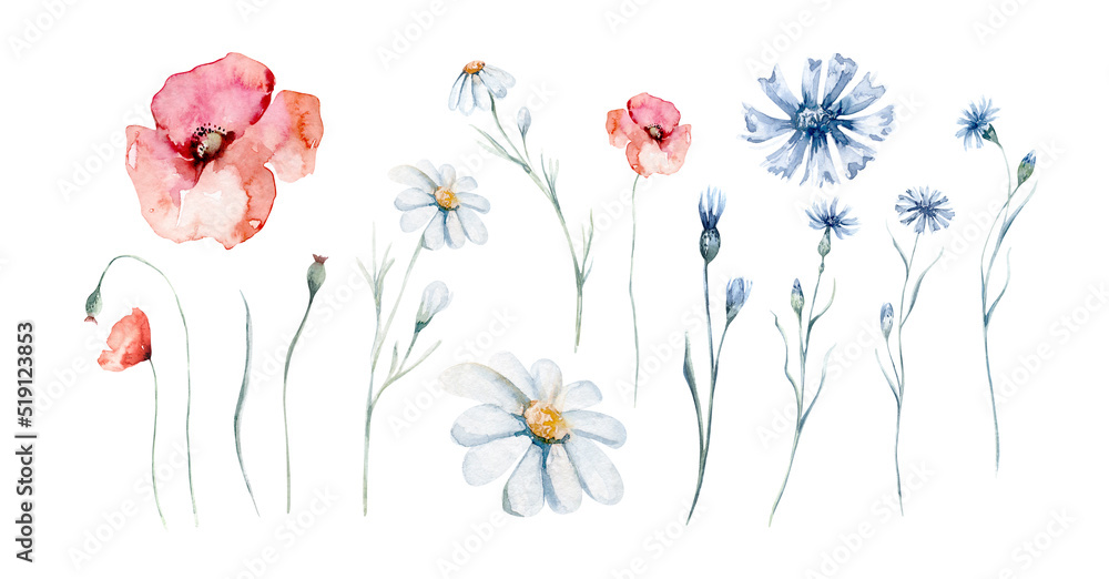 Watercolor wildflowers seamless pattern with poppy, cornflower chamomile, rye and wheat spikelets background - obrazy, fototapety, plakaty 