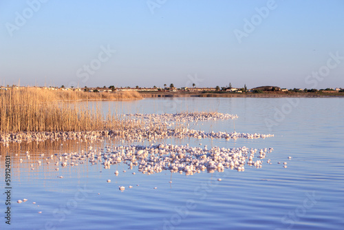 Wallpaper Mural Vega Baja del Segura - Salinas de Torrevieja - La Laguna Salada y su entorno, un paisaje único Torontodigital.ca