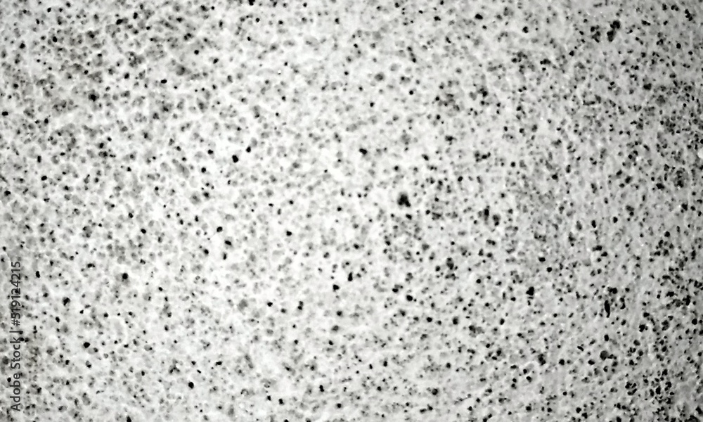 Peeling Grunge Wall Texture.Patched and Deteriorating Wall.Rusty and Dilapidated Wall Surface.Chipped and Peeling Plaster Texture.Cracked and Textured Cement Wall.Rough and Flaking Mortar Texture. Peeling Grunge Wall Texture.Patched and Deteriorating Wall.Rusty and Dilapidated Wall Surface.Chipped and Peeling Plaster Texture.Cracked and Textured Cement Wall.Rough and Flaking Mortar Texture.