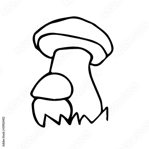 Doodle edible mushroom, hand drawn forest plant. Vector illustration