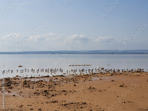 Vega Baja del Segura - Salinas de Torrevieja - La Laguna Salada y su entorno, un paisaje único