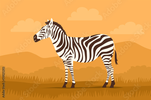 Striped zebra on the background of the wild savannah. Herbivorous hoofed mammal. African wild animal. Fauna and zoology. Cartoon vector illustration