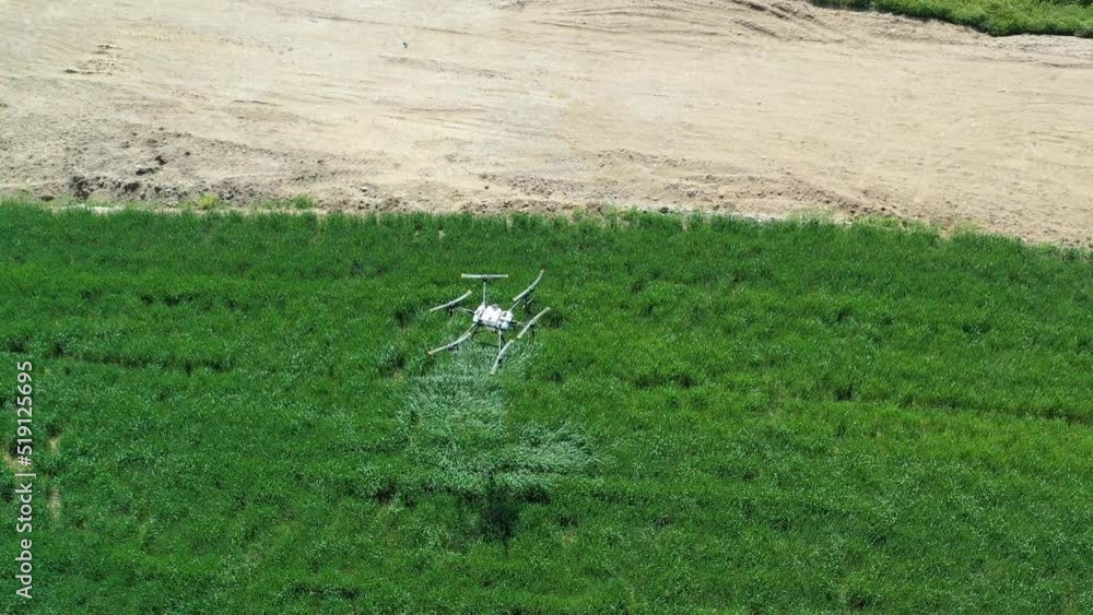 Aerial view of spraying drone in wheat field. Agriculture Turkey.4K UHD VIDEO. Aerial view of spraying drone in wheat field. Agriculture Turkey.4K UHD VIDEO.