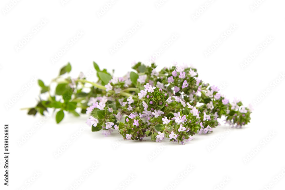 Obraz premium Fresh thyme herb isolated on white background