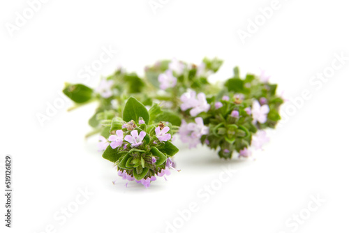 Fresh thyme herb isolated on white background