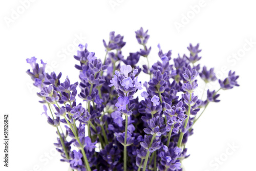 Natural lavender flowers isolated on white background