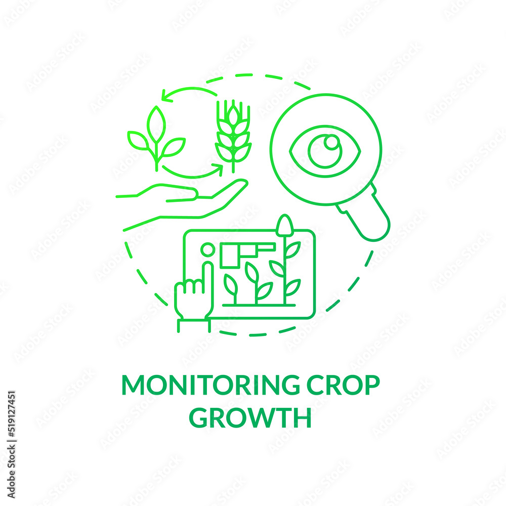 Monitoring crop growth green gradient concept icon. Observe progress. Increased crop yield abstract idea thin line illustration. Isolated outline drawing. Myriad Pro-Bold font used Monitoring crop growth green gradient concept icon. Observe progress. Increased crop yield abstract idea thin line illustration. Isolated outline drawing. Myriad Pro-Bold font used