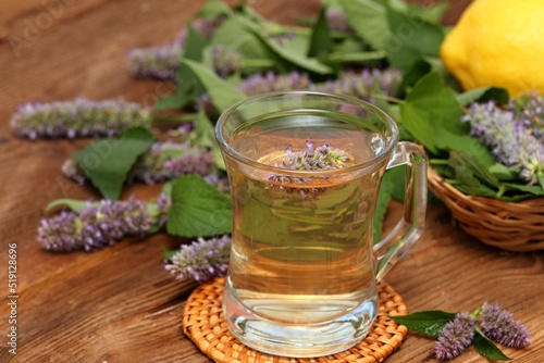 Herbal tea from medicinal herb Agastache foeniculum, also called  giant hyssop, Indian mint or blue licorice.  Aromatic agastache tea is tasty and medicinal effects.
