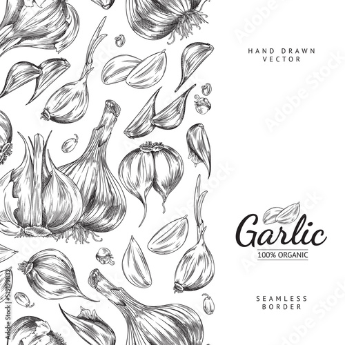 Organic garlic poster template with seamless border, sketch vector illustration on white background.
