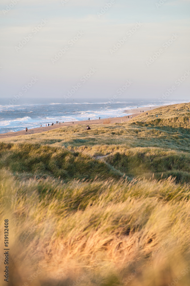 dunes and sand beach at the danish north sea coast. High quality photo