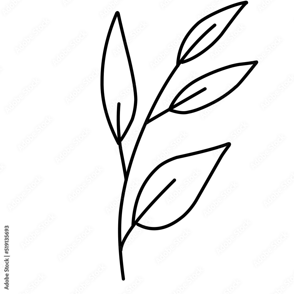Plant lineart Plant lineart