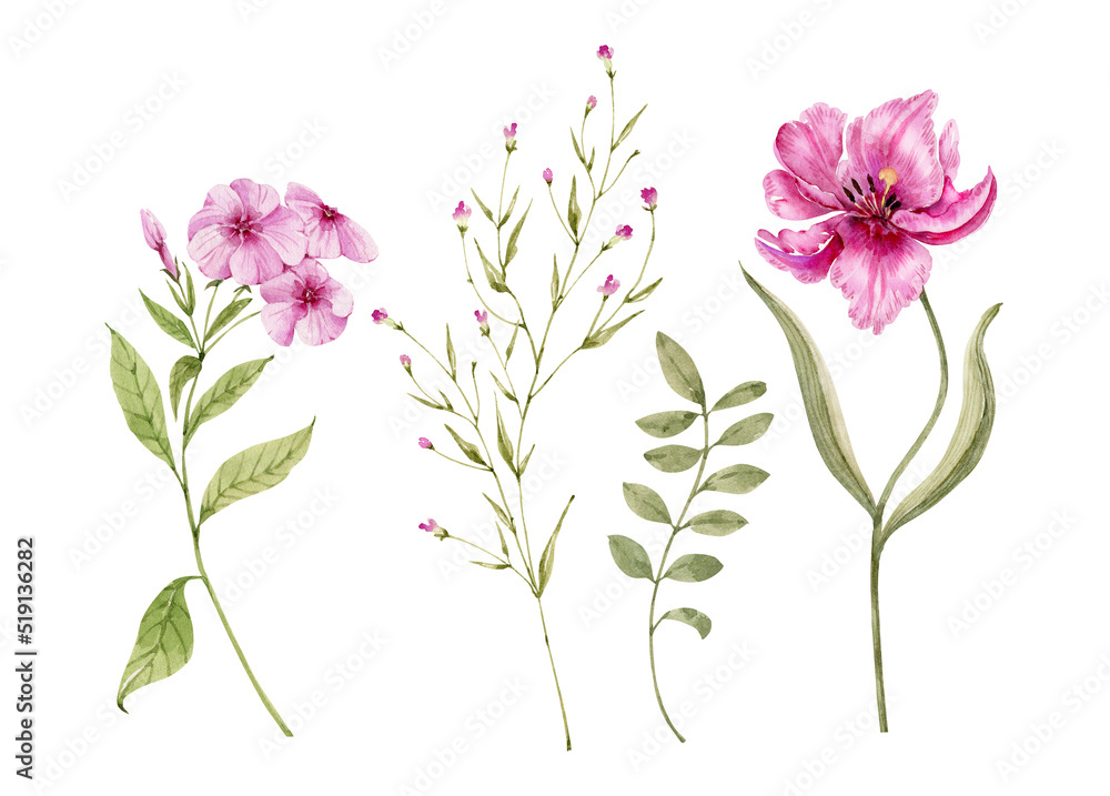 set of watercolor illustrations of pink flowers and plants on a white background. hand painted for design and invitations.	
