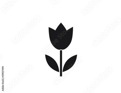 Flower flat vector icon (tulip, crocus, snowdrop)