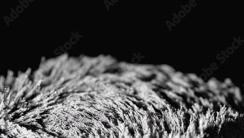 Iron powder under the influence of a magnetic field. Сlose-up.