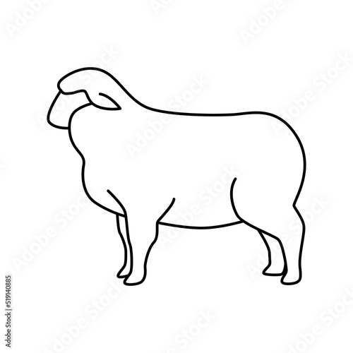 Lamb icon vector design template.