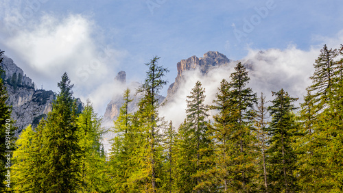 Panoramic view over magical Dolomite peaks, pine and spruce forests, valleys at blue sky and sunny day, South Tyrol, Italy.