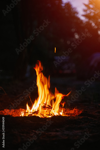 Small campfire with gentle flames beside a forest in the evening