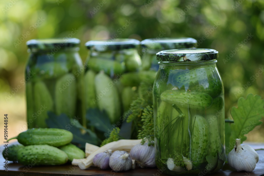 Jars of pickled cucumbers, fermented cucumbers, pickles, dill, garlic, horseradish and herbs. Jars of pickled cucumbers, fermented cucumbers, pickles, dill, garlic, horseradish and herbs.