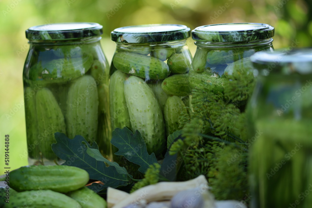 Jars of pickled cucumbers, fermented cucumbers, pickles, dill, garlic, horseradish and herbs. Jars of pickled cucumbers, fermented cucumbers, pickles, dill, garlic, horseradish and herbs.