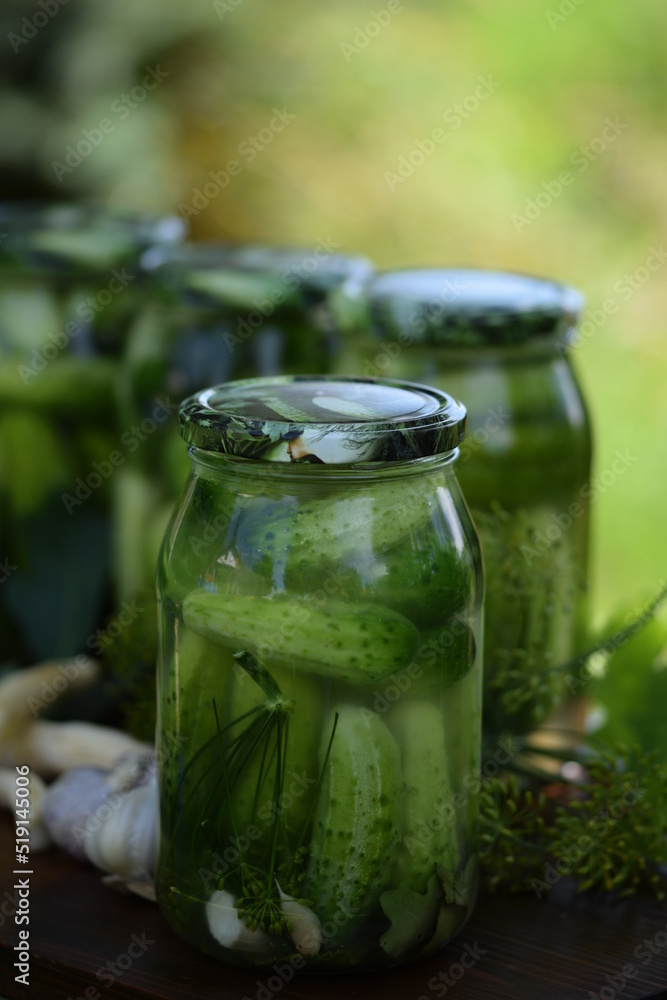 Jars of pickled cucumbers, fermented cucumbers, pickles, dill, garlic, horseradish and herbs. Jars of pickled cucumbers, fermented cucumbers, pickles, dill, garlic, horseradish and herbs.