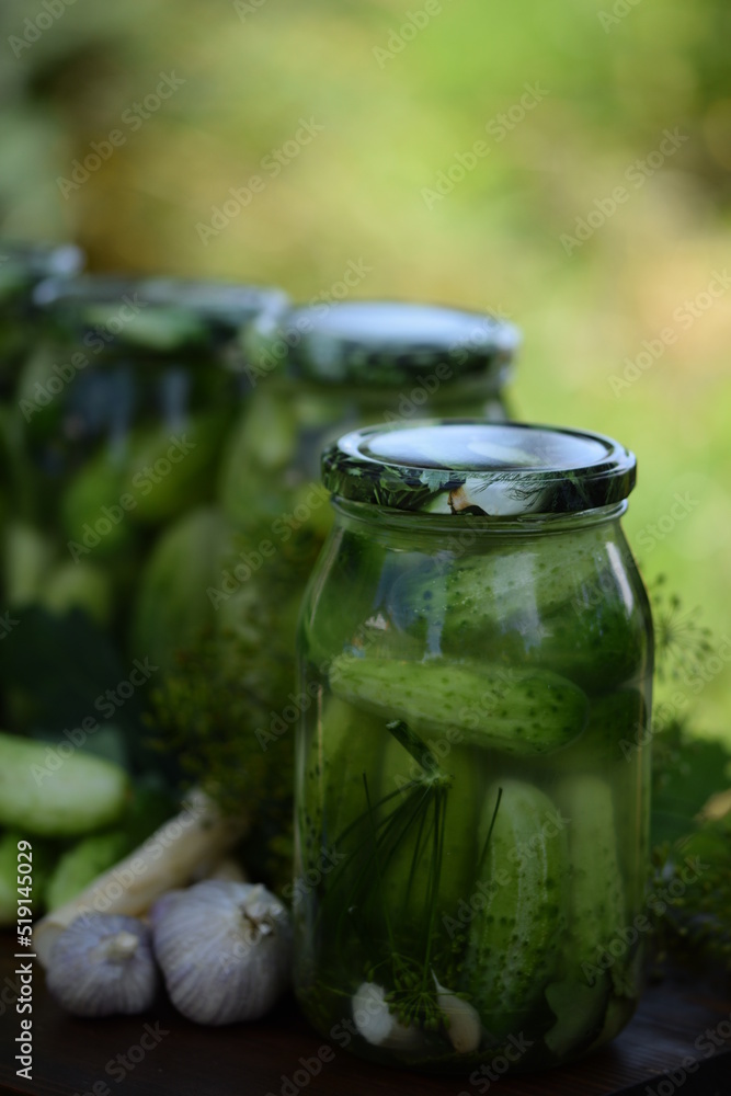 Jars of pickled cucumbers, fermented cucumbers, pickles, dill, garlic, horseradish and herbs. Jars of pickled cucumbers, fermented cucumbers, pickles, dill, garlic, horseradish and herbs.
