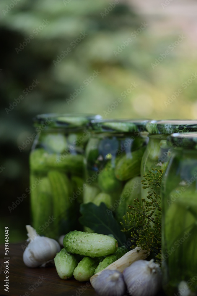 Jars of pickled cucumbers, fermented cucumbers, pickles, dill, garlic, horseradish and herbs. Jars of pickled cucumbers, fermented cucumbers, pickles, dill, garlic, horseradish and herbs.